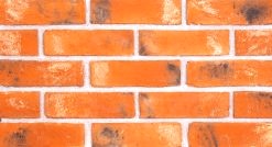 Doğal Kaplama Tuğla / 202-LIGHT RECLAMATION