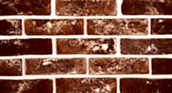 Doğal Kaplama Tuğla / 303-WHITE BROWN