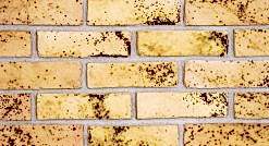 Doğal Kaplama Tuğla / 411-LIGHT CURYOUSS